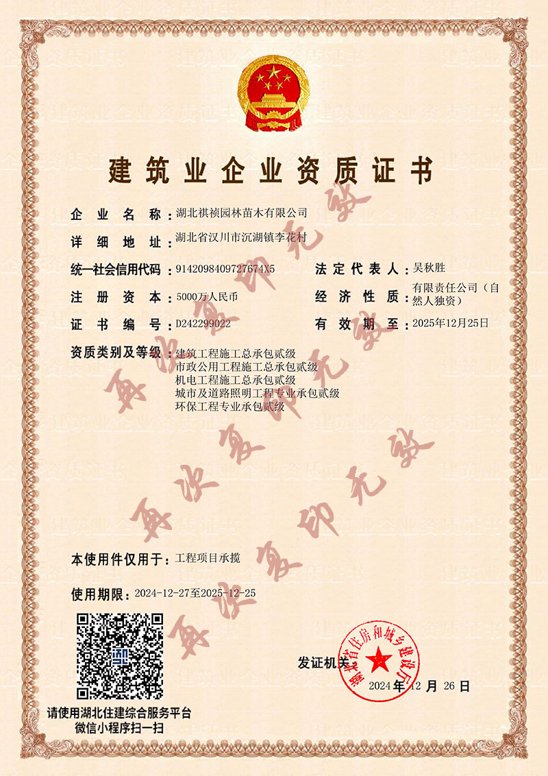 安徽東遠(yuǎn)新材料有限公司2025年開工儀式圓滿舉行